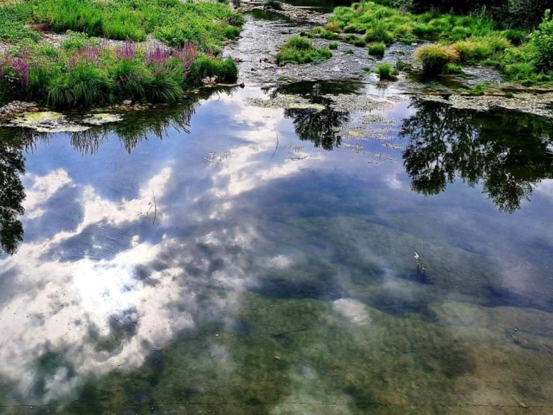 Peter Utz   holy water 1_1